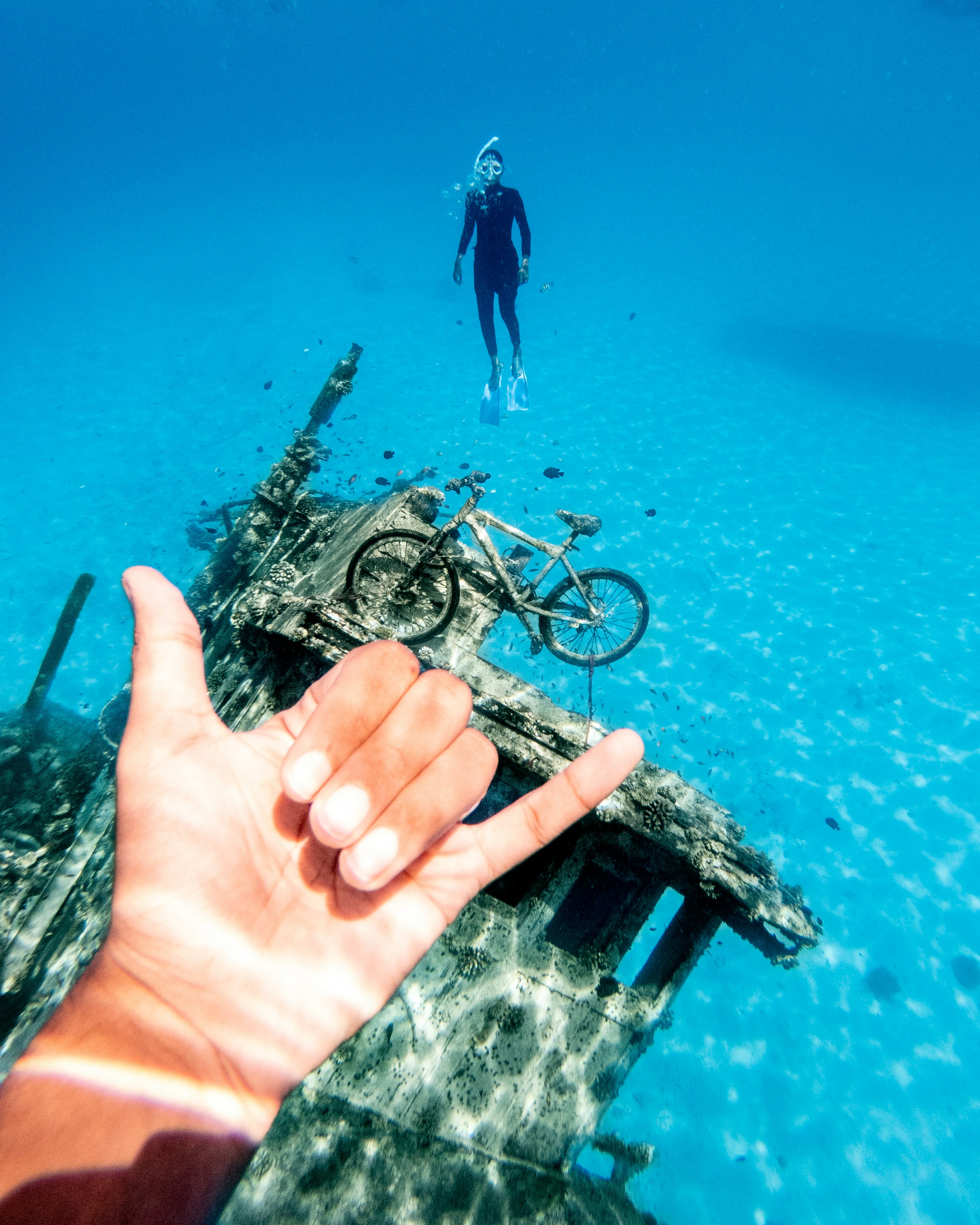 person holding black and silver bicycle