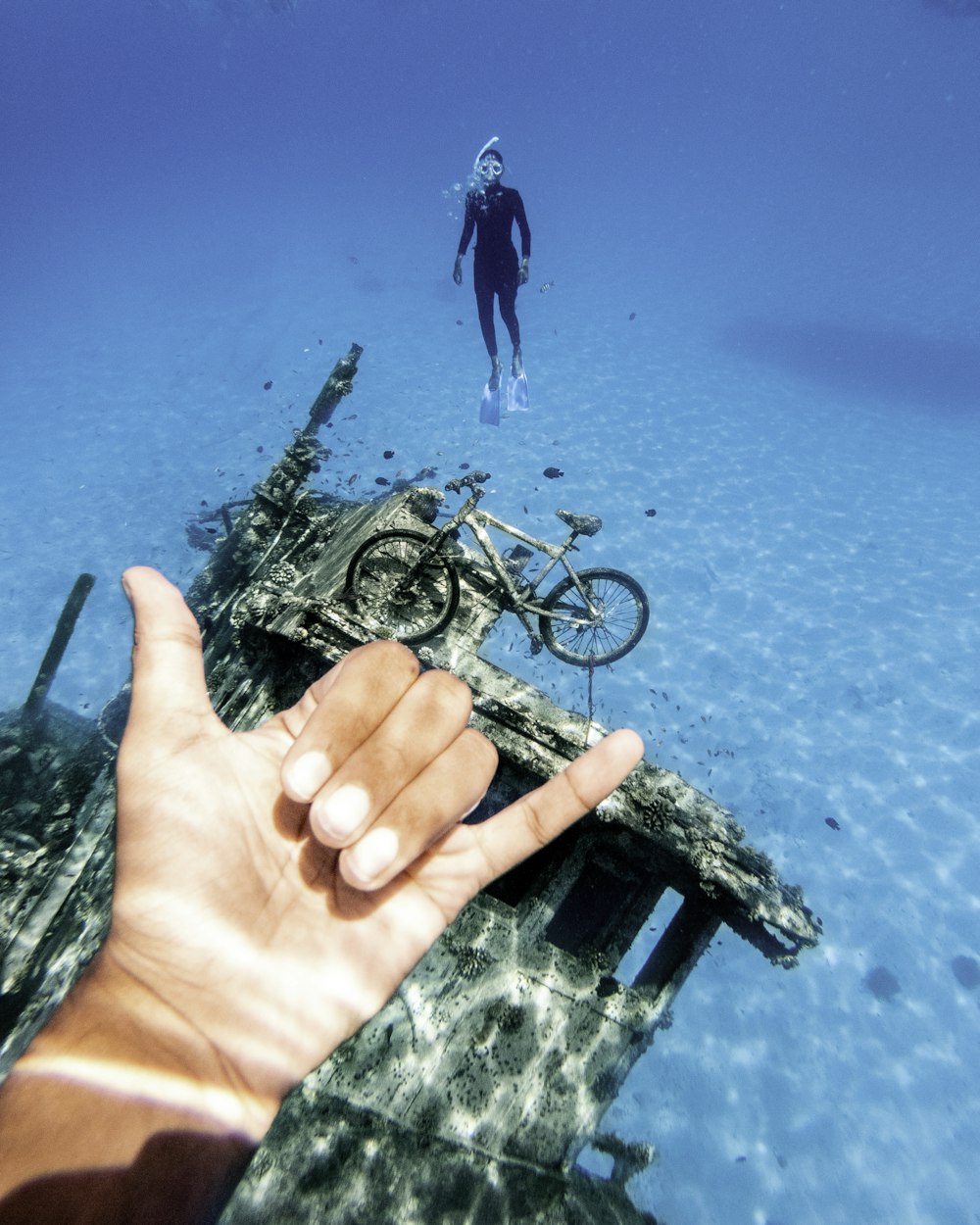 person holding black and silver bicycle