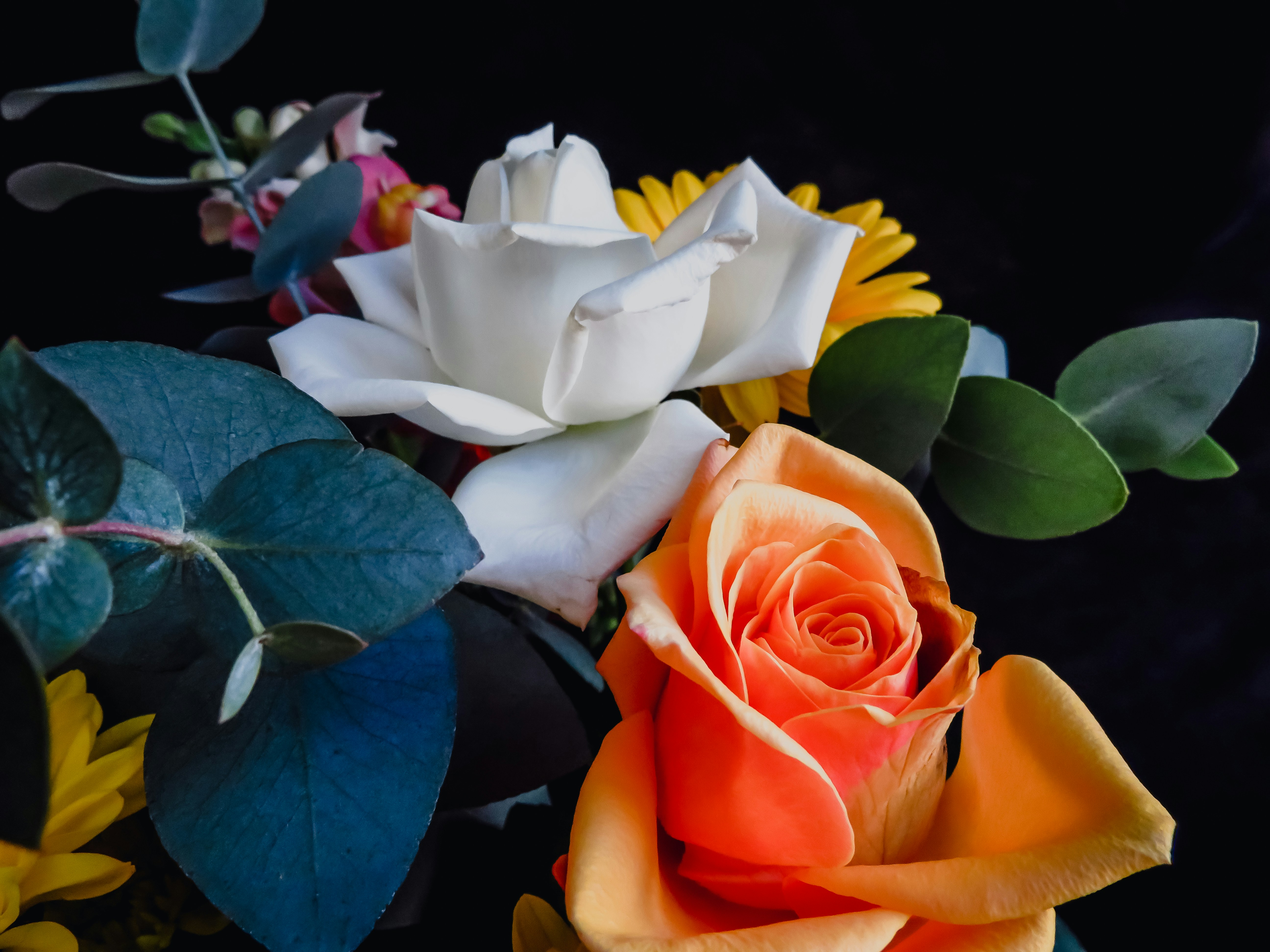 white and yellow rose in bloom mother's day zoom background
