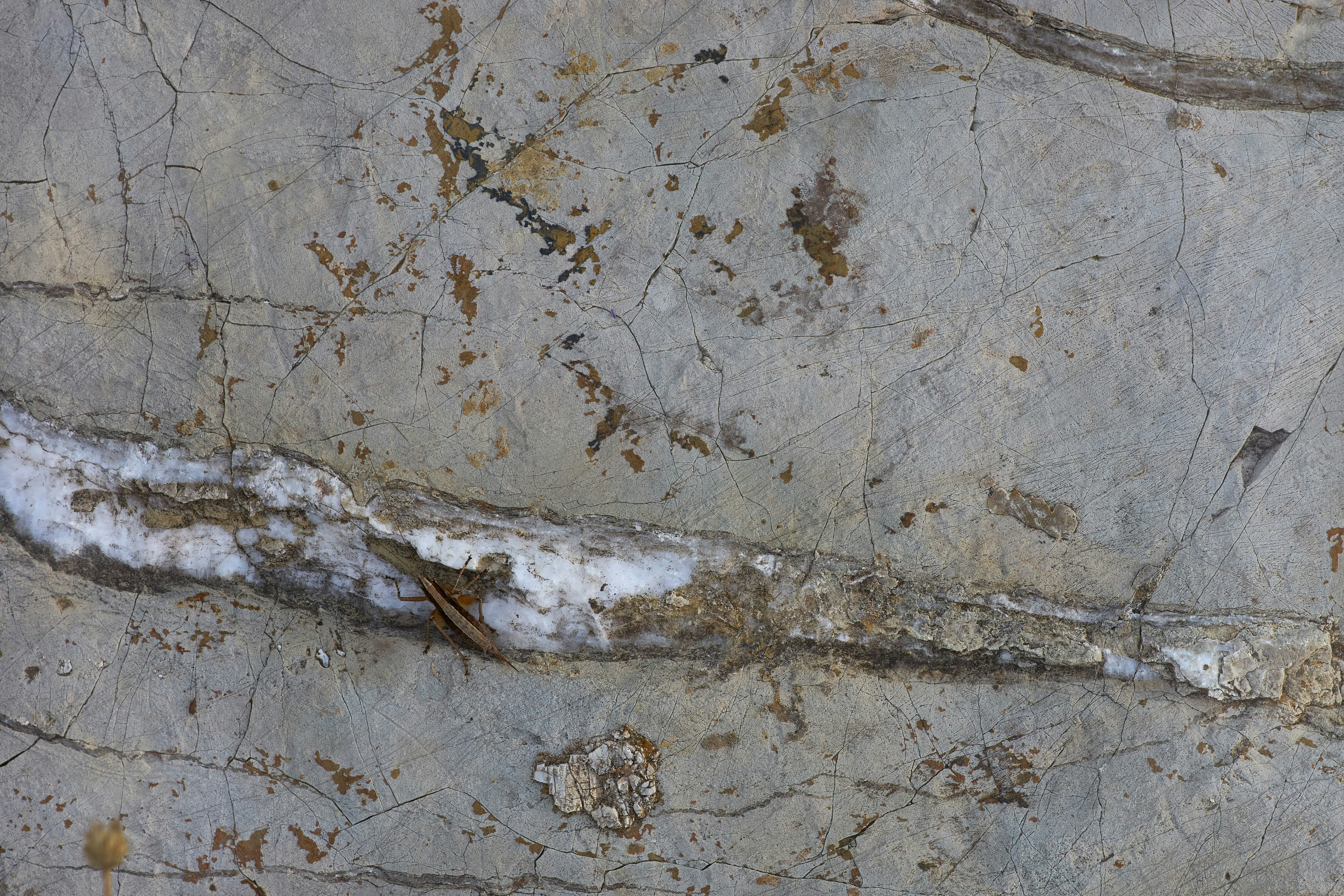 Photo by wolfgang_hasselmann