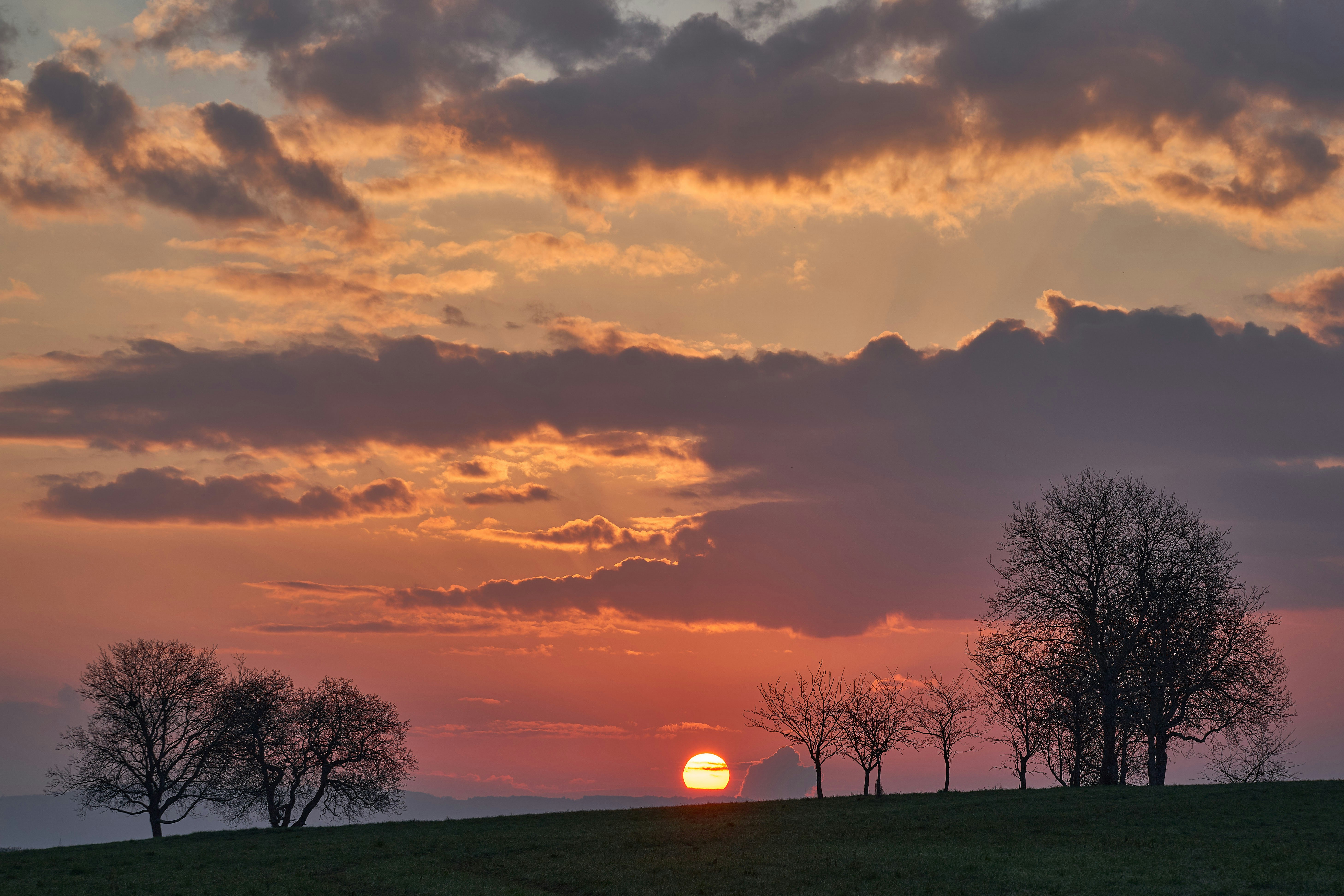 Photo by wolfgang_hasselmann