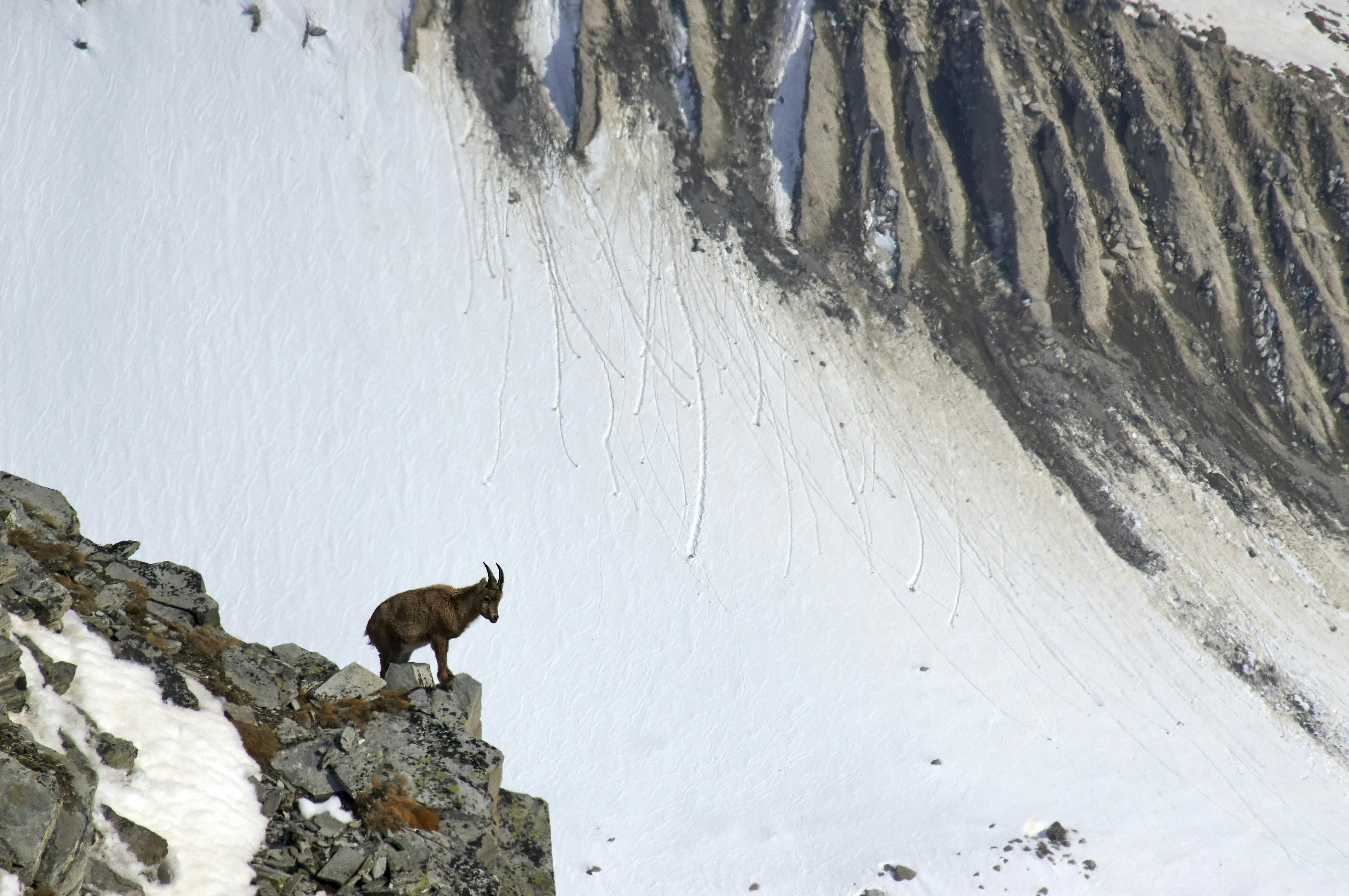 Photo by wolfgang_hasselmann