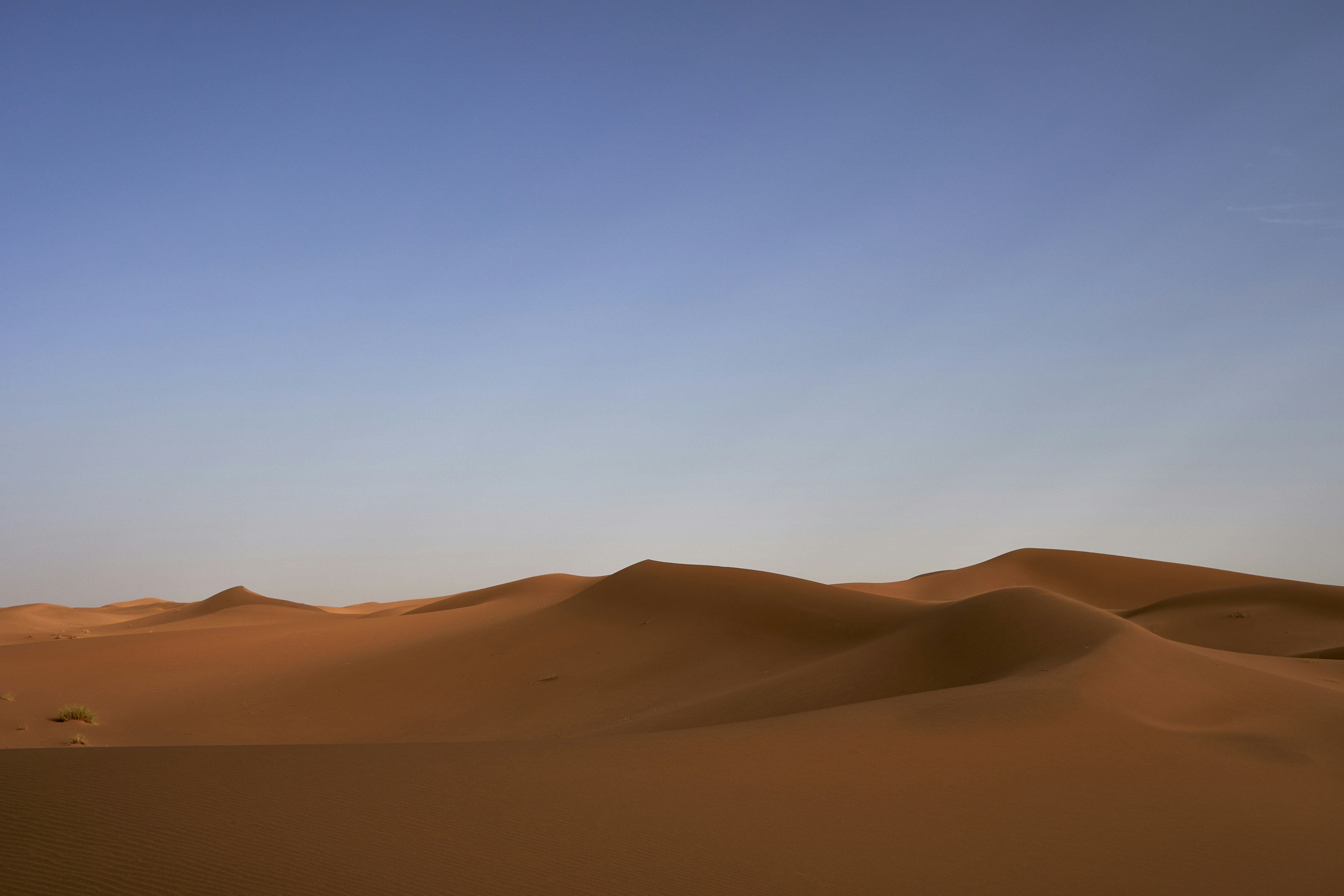 Photo by wolfgang_hasselmann