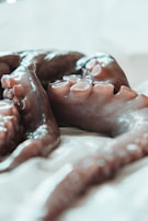 Fresh octopus tentacles laid out on ice, showcasing their texture and freshness.