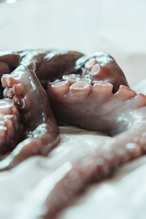 Fresh octopus tentacles laid out on ice, showcasing their texture and freshness.