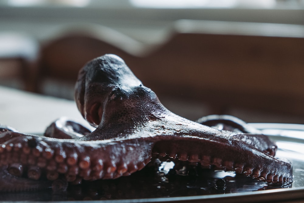 brown and black wooden animal figurine