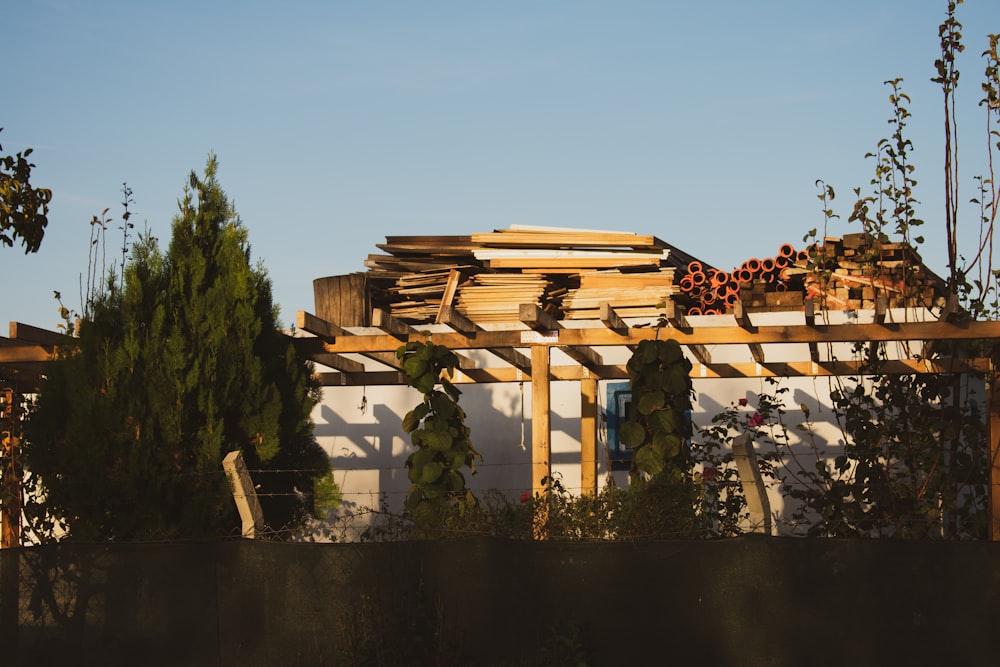 Braunes Holzhaus in der Nähe von grünen Bäumen tagsüber