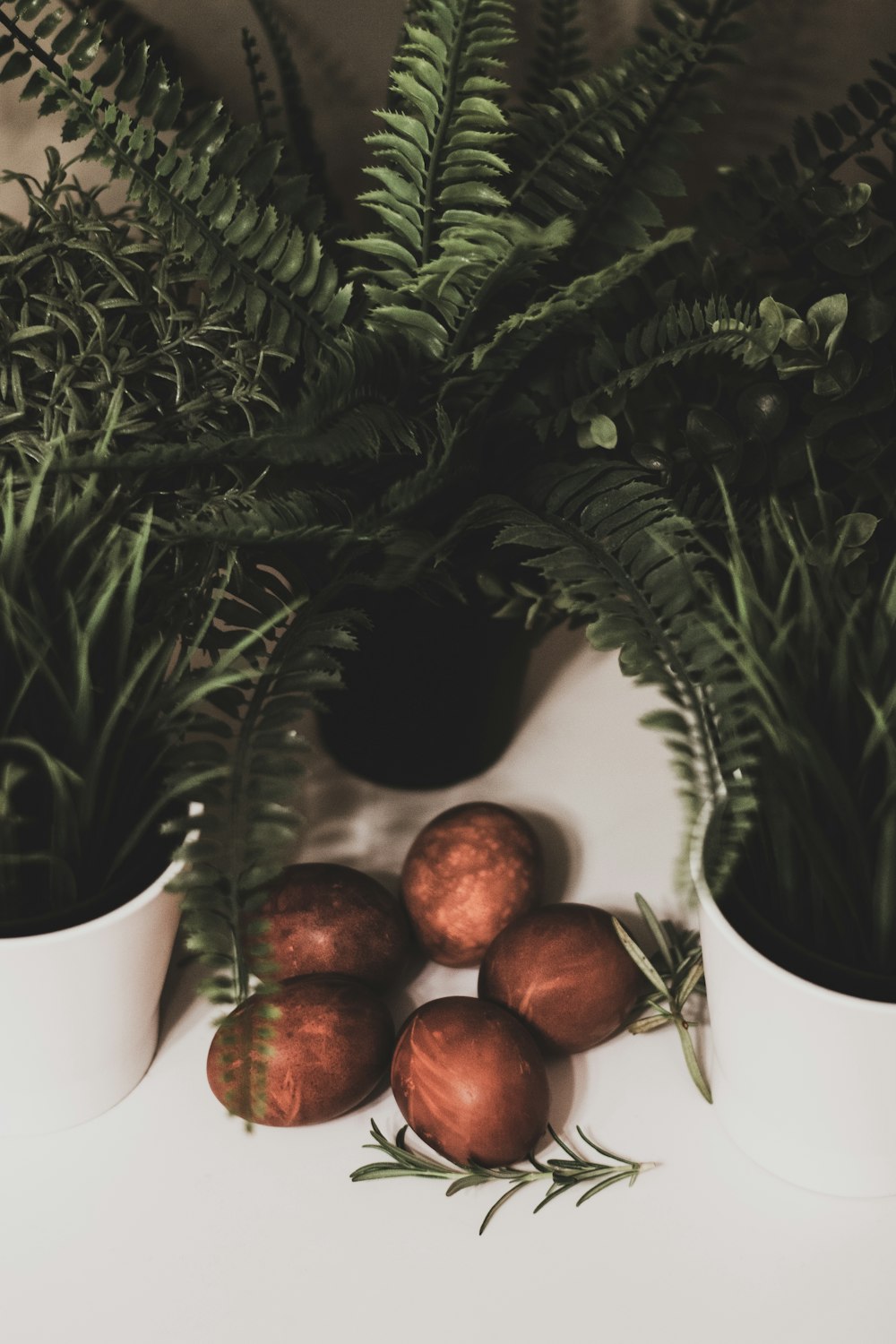 red apples on white ceramic mug