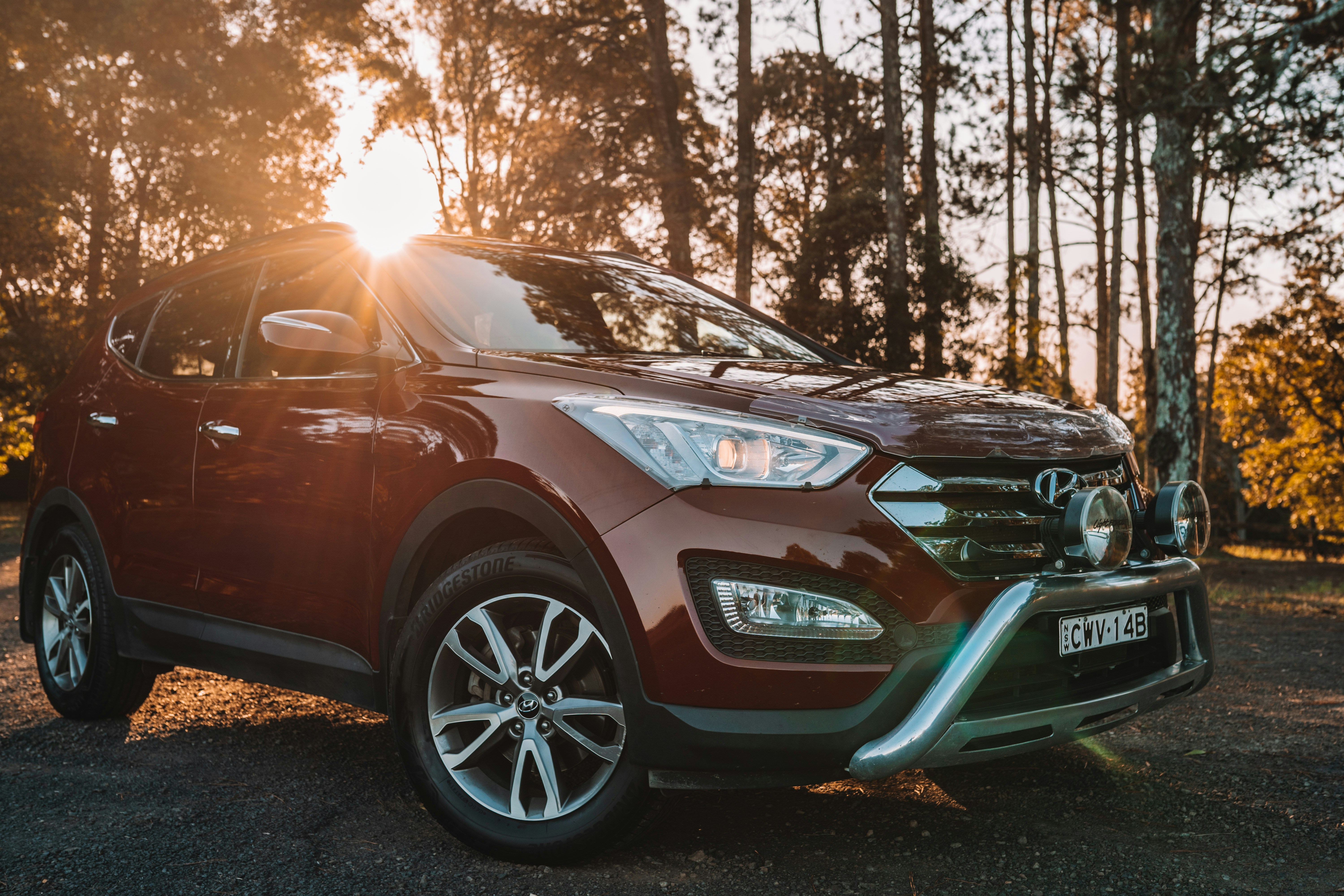 Photo by angus_buchanan