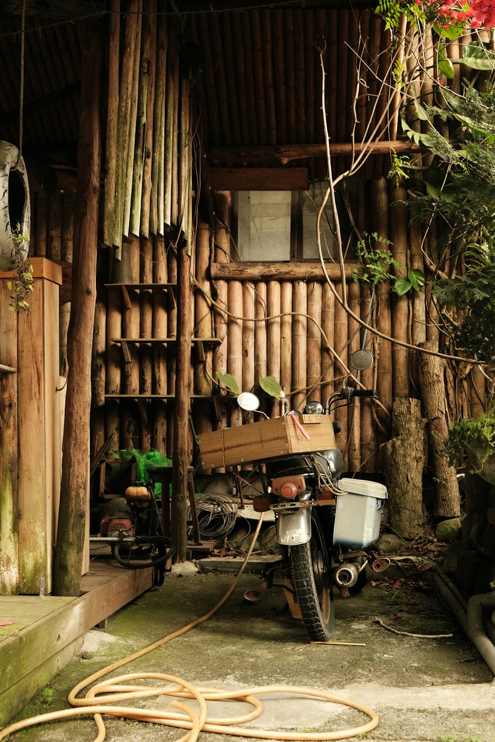 brown wooden house with green plants