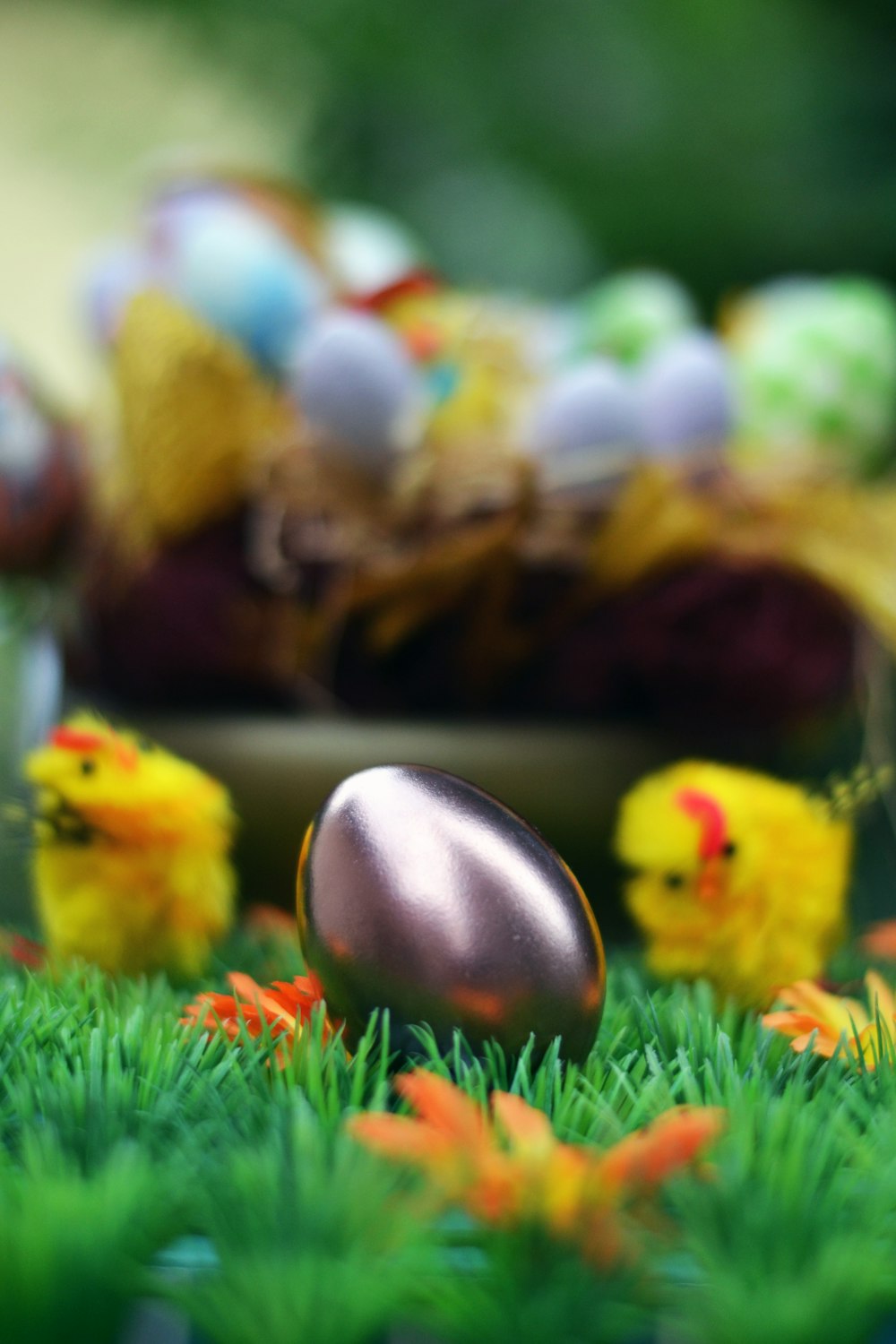 yellow bird on green grass