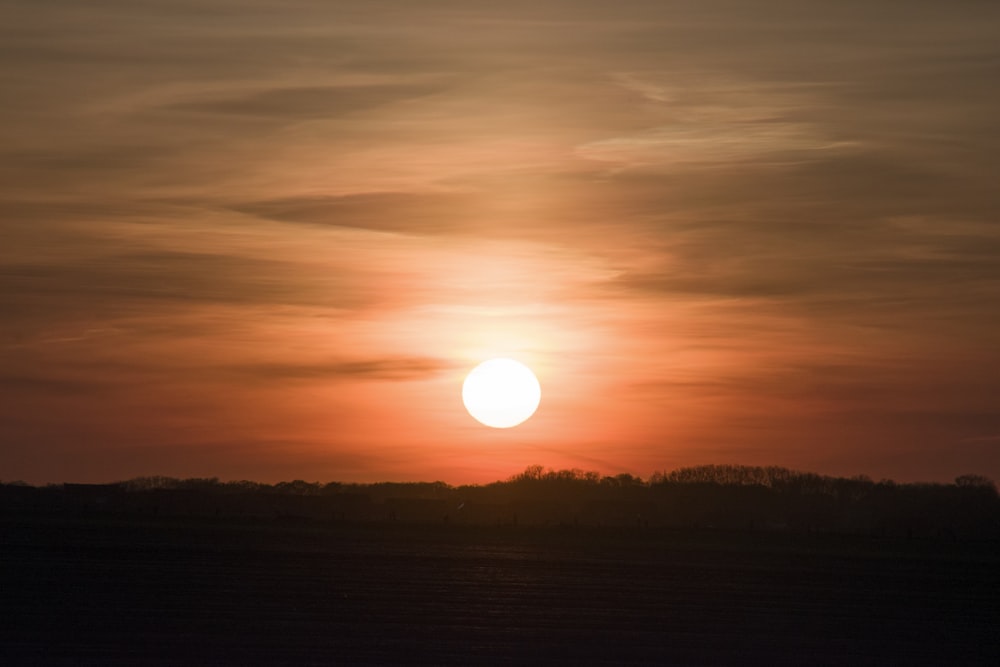 silhouette of trees during sunset