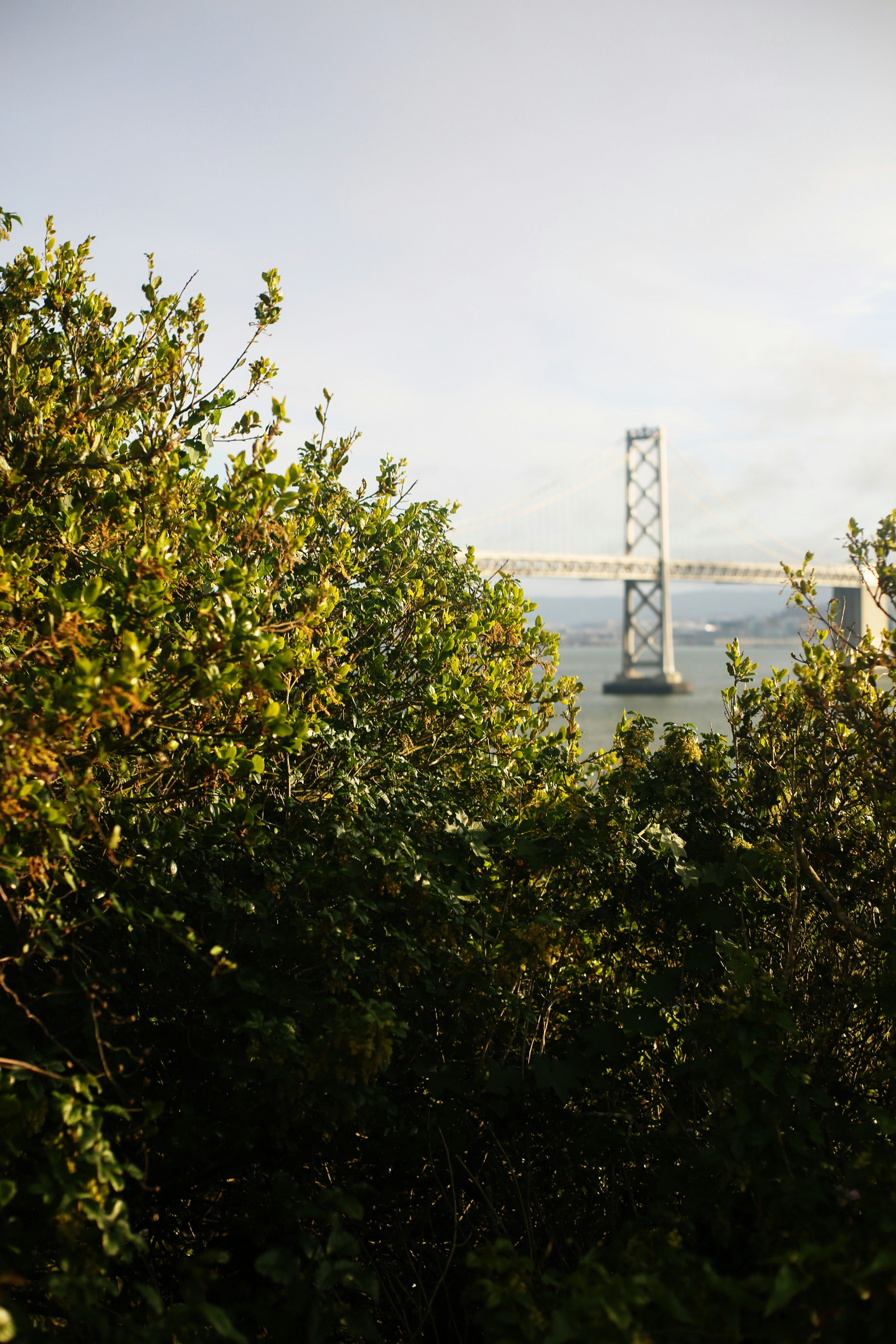 Photo by giorgiotrovato