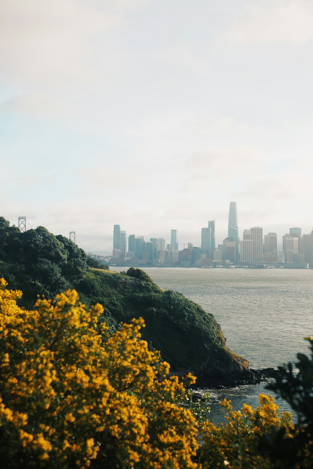 city skyline across body of water during daytime