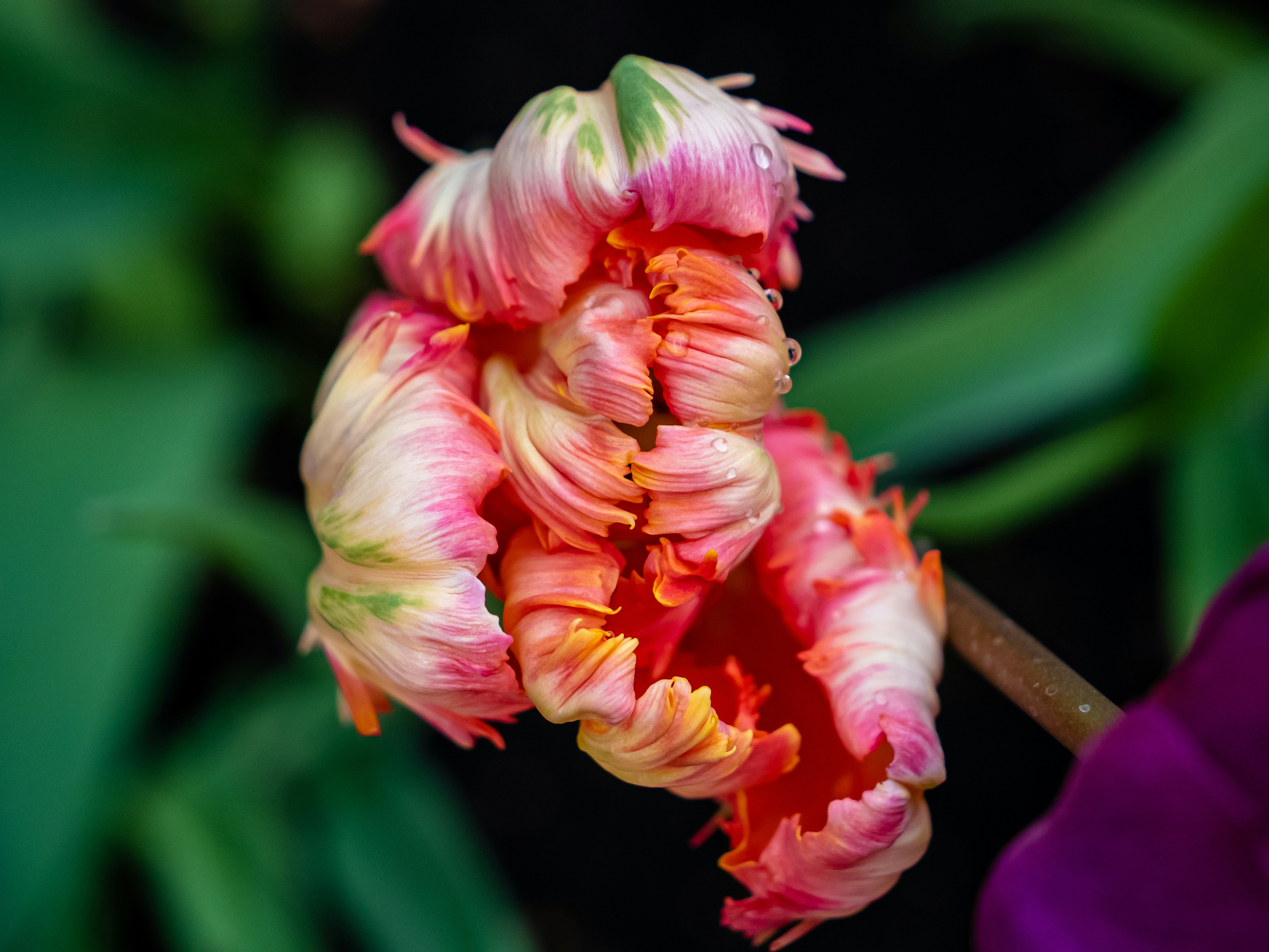 Photo by space_face_films