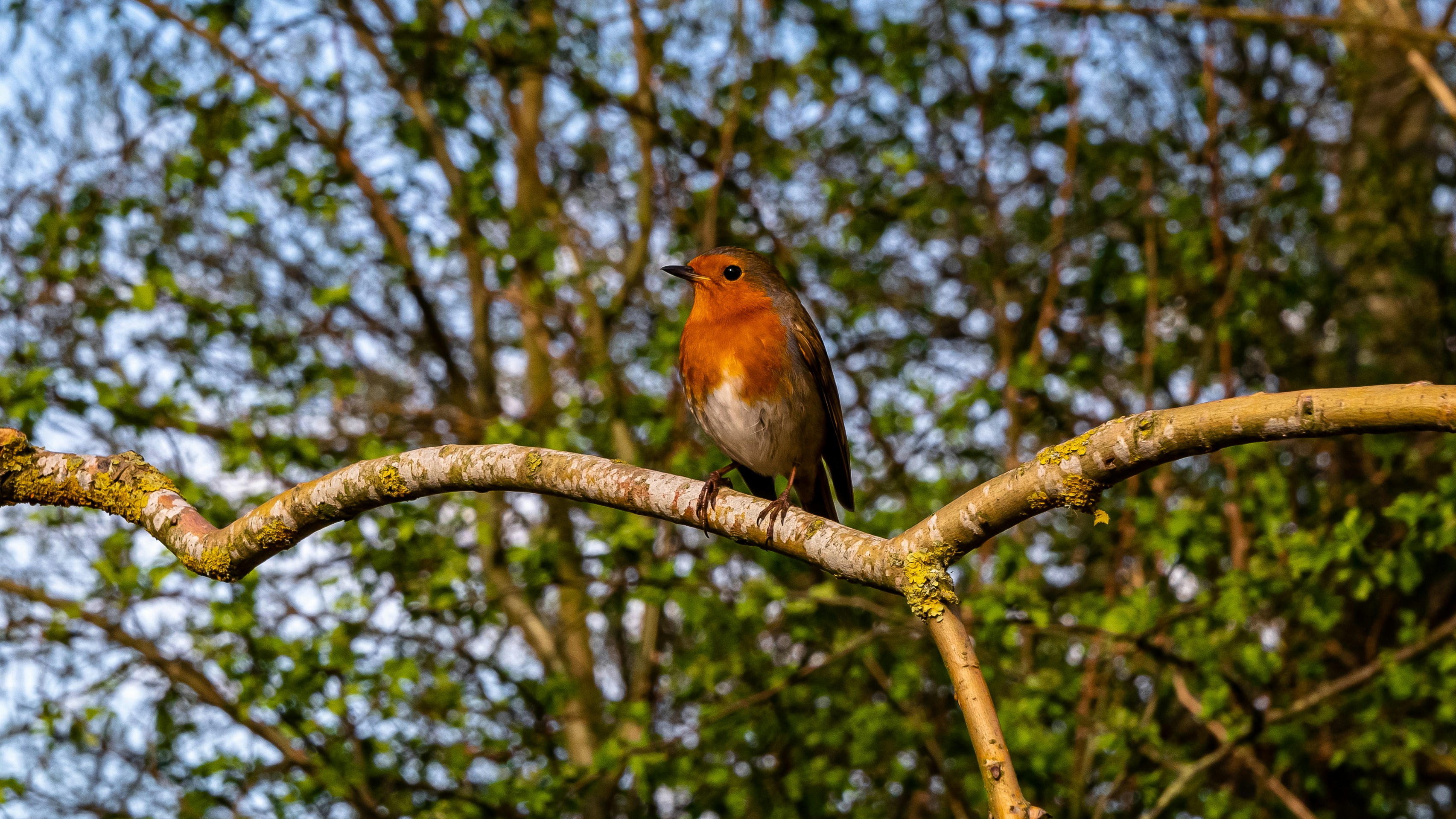 Photo by space_face_films