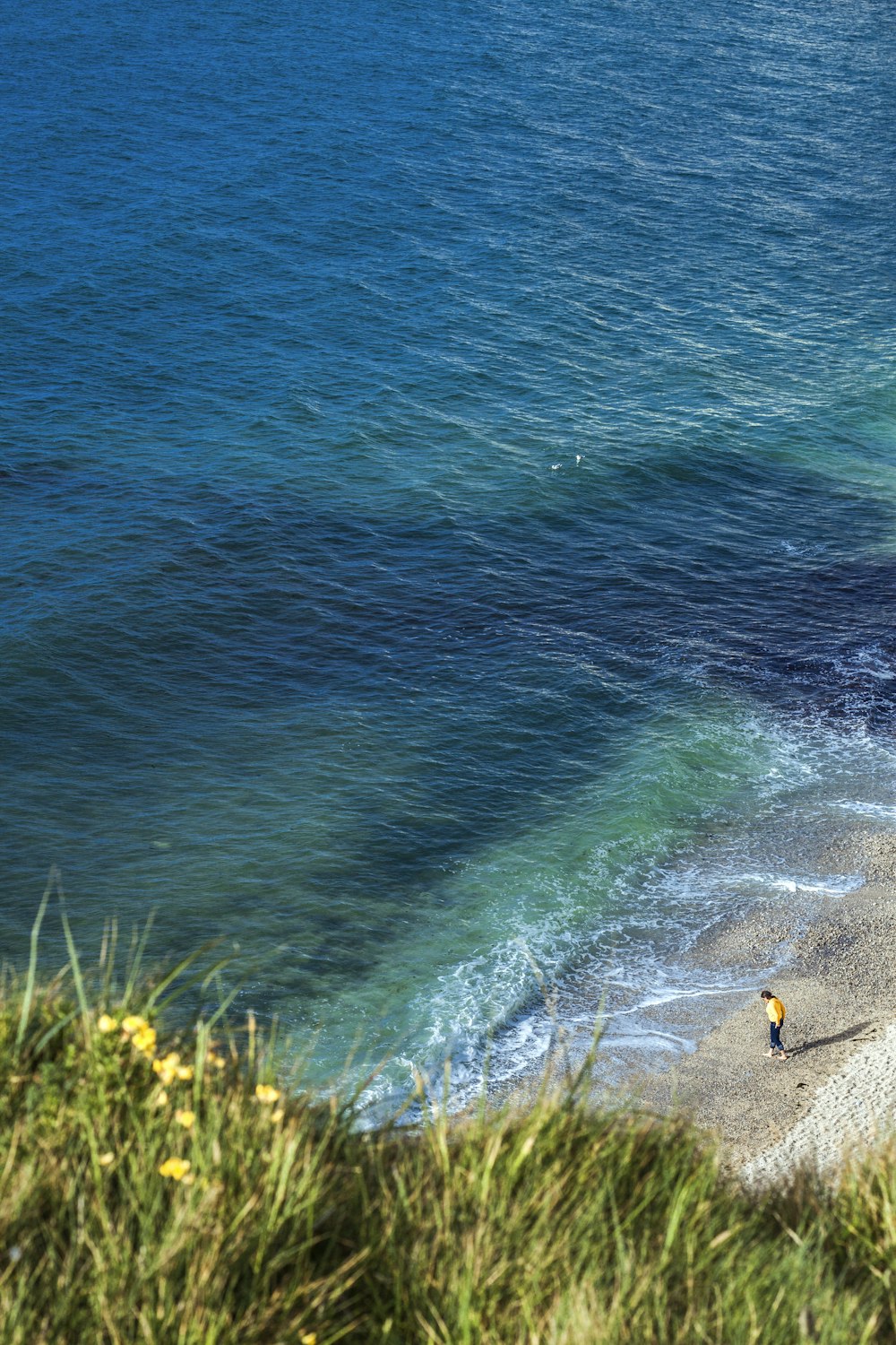 person in yellow shirt and black pants standing on seashore during daytime