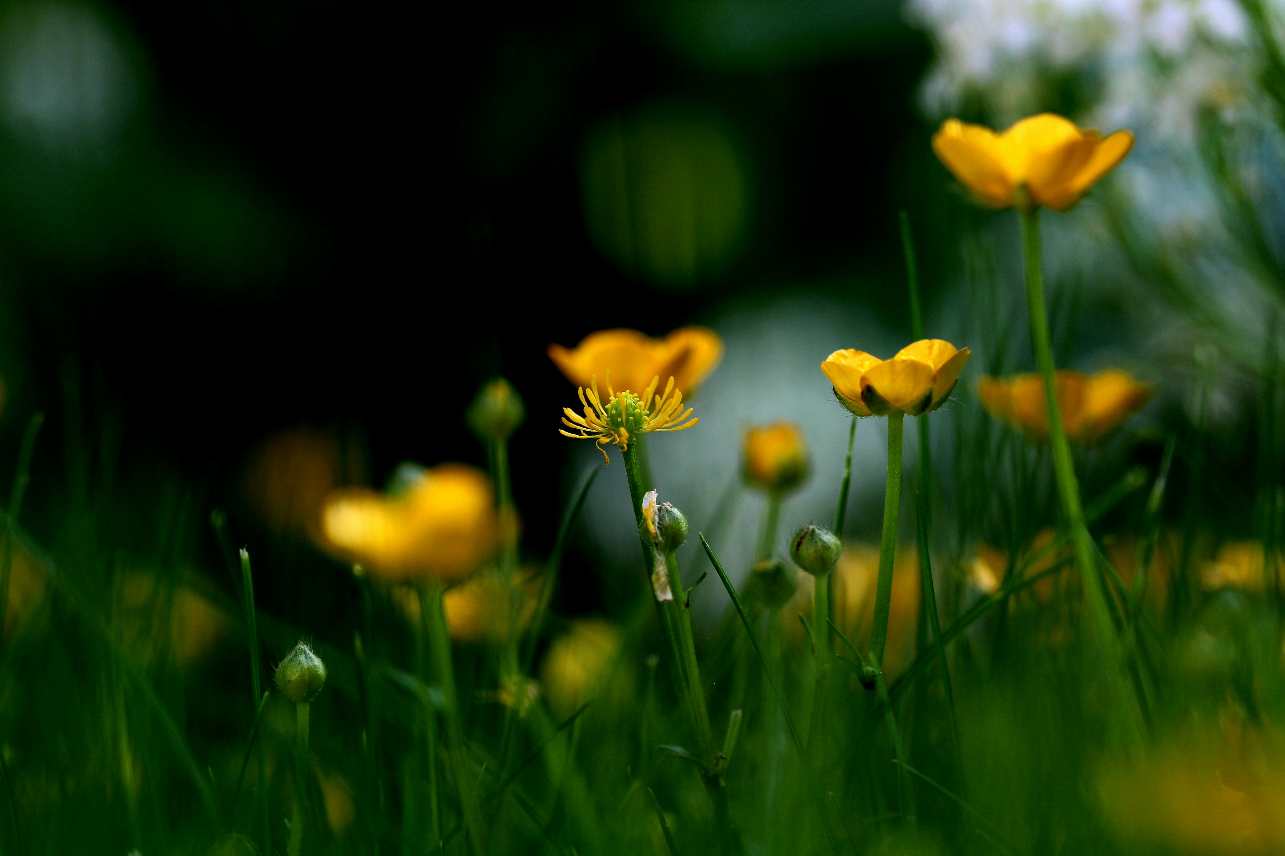 Photo by richardworks