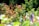 A vibrant community garden filled with diverse plants and smiling volunteers.
