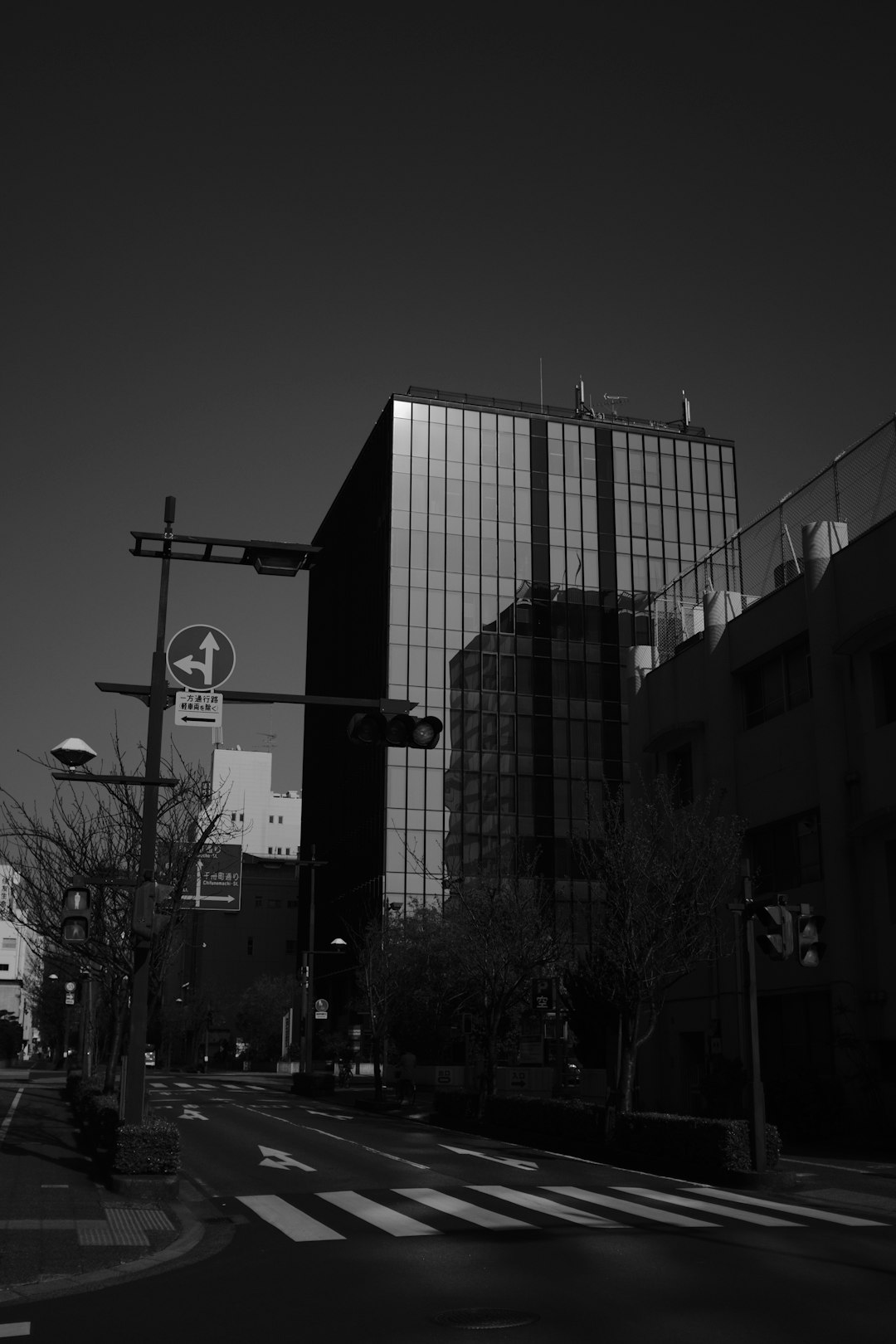 grayscale photo of street light near building