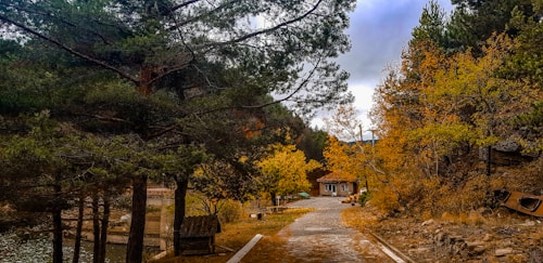 The image features a serene autumn landscape with a path leading to a small house. Tall pine trees and vibrant foliage in shades of yellow and orange line the path. The sky is overcast, adding a touch of tranquility to the scene.