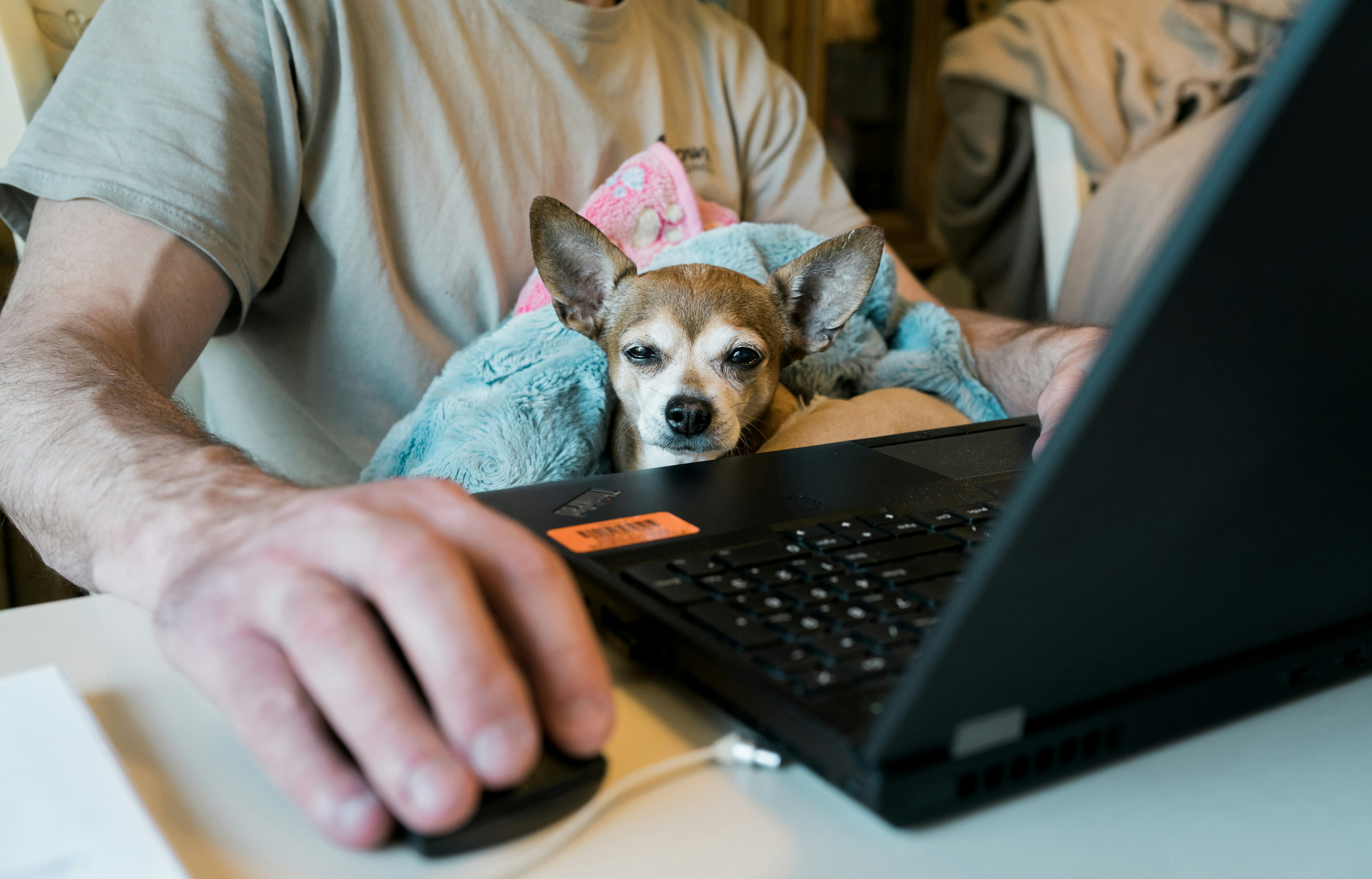 person in blue sweater using black laptop computer