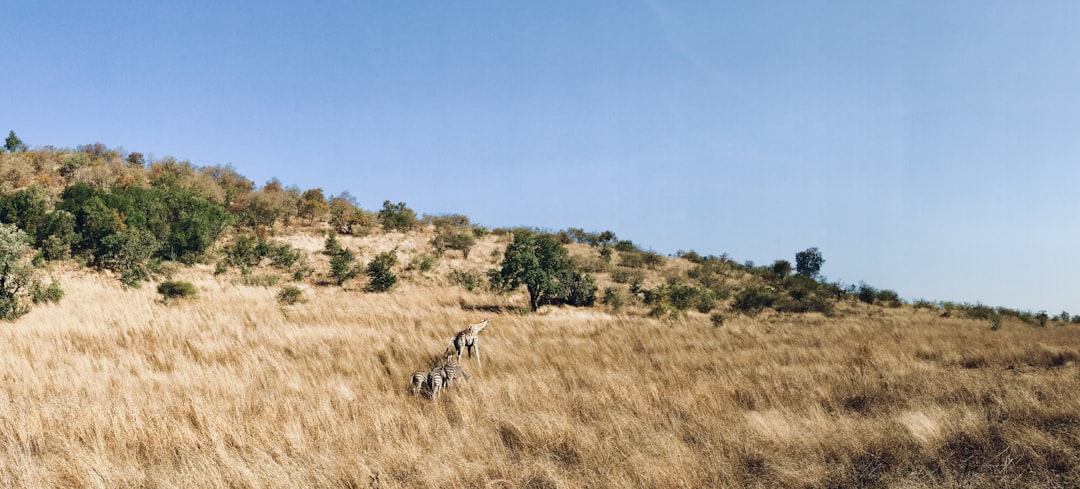 Ecoregion photo spot Mankwe Way South Africa