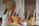 A collection of traditional wooden kitchen utensils and tools is arranged in front of a rustic wooden door. The assortment includes wooden mortars, pestles, a silver kettle, and a large woven basket. The background features textured, weathered walls adding to the rustic charm.