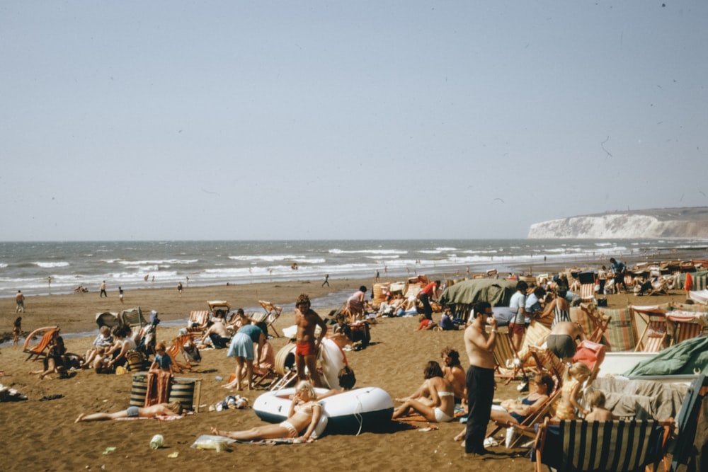 people sitting on beach shore during daytime