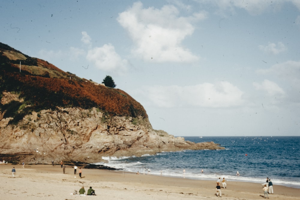 people walking on beach during daytime