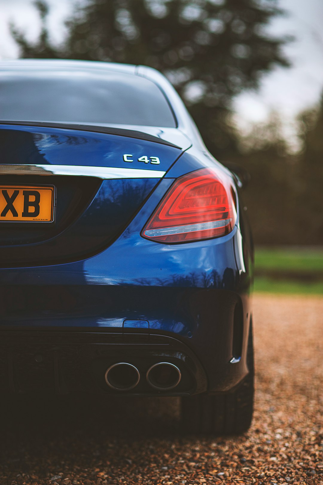 blue car on green grass field during daytime