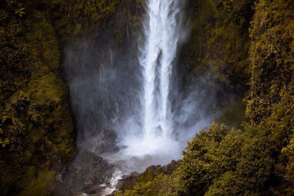 waterfalls in the middle of green trees