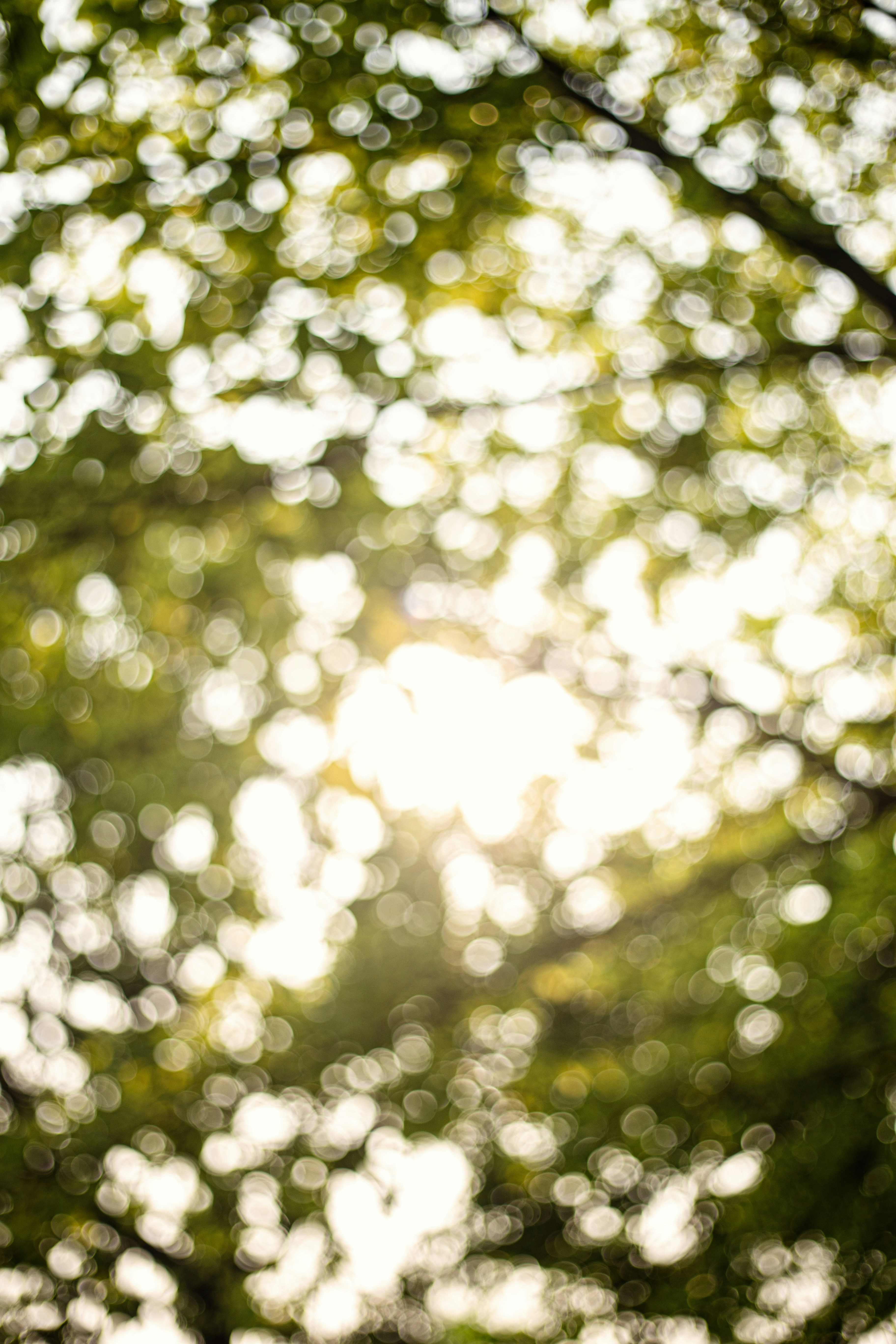 Photo by vinomamba24