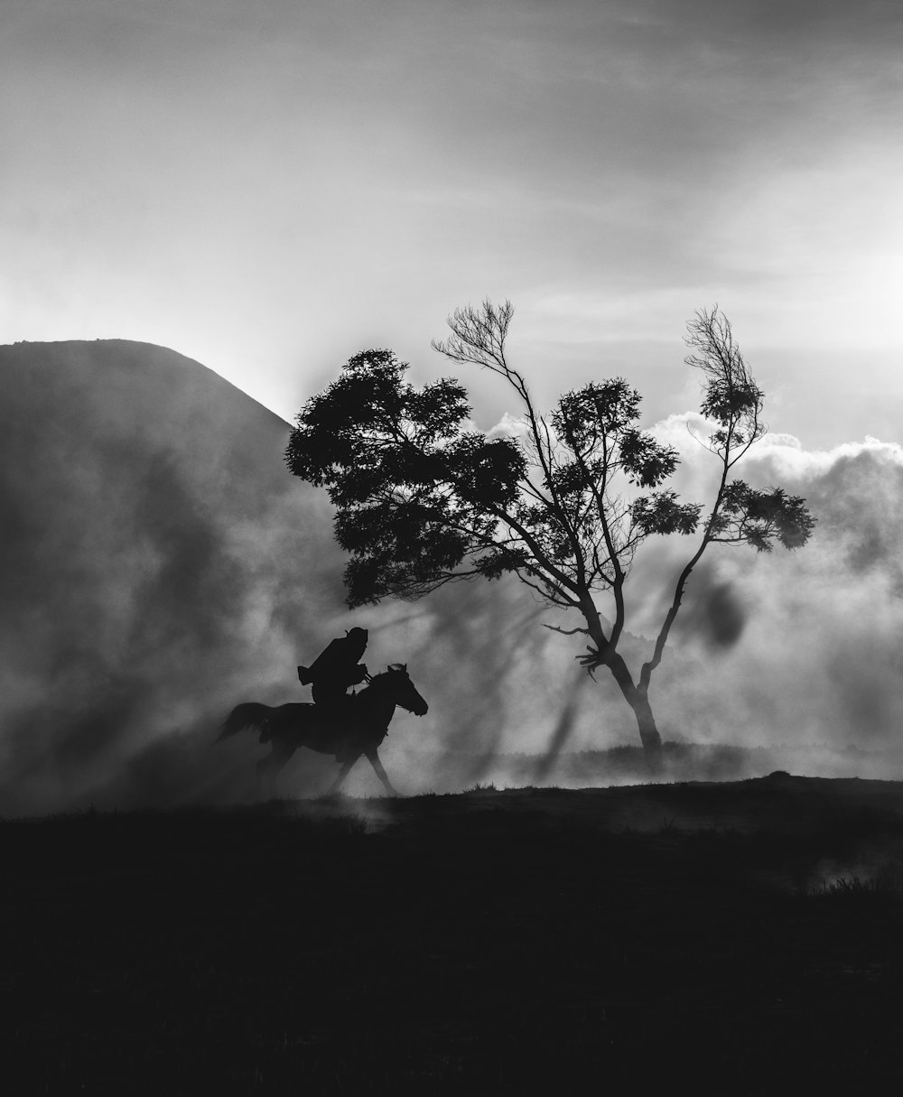 grayscale photo of tree on hill