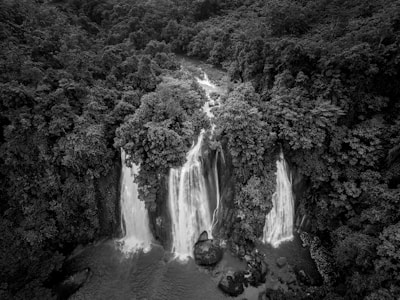 A scenic view of Athirappilly waterfalls cascading amid dense tropical forest.