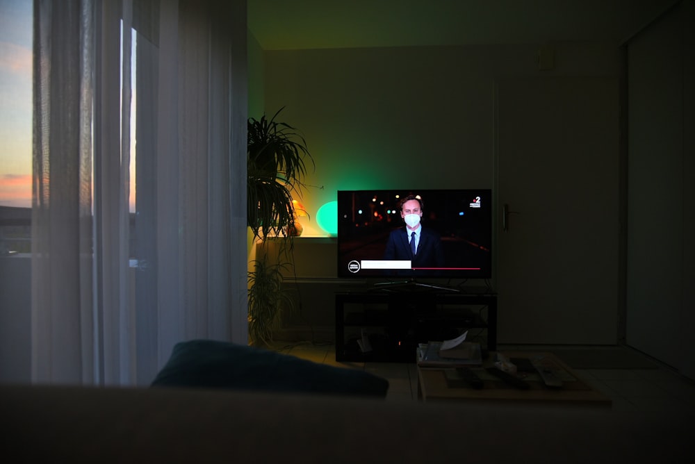 black flat screen tv turned on near green indoor plant