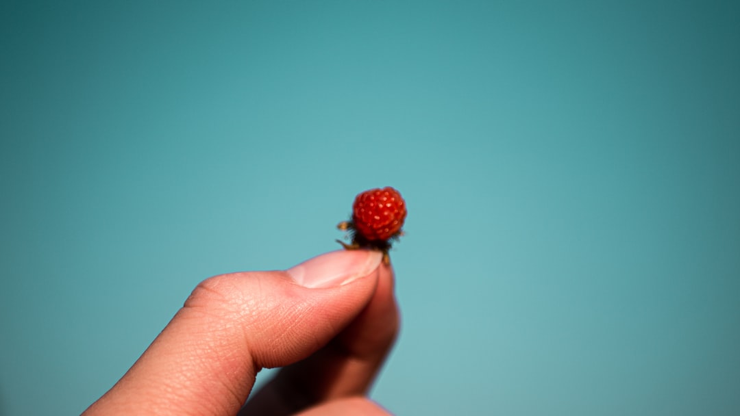 red round fruit on persons hand