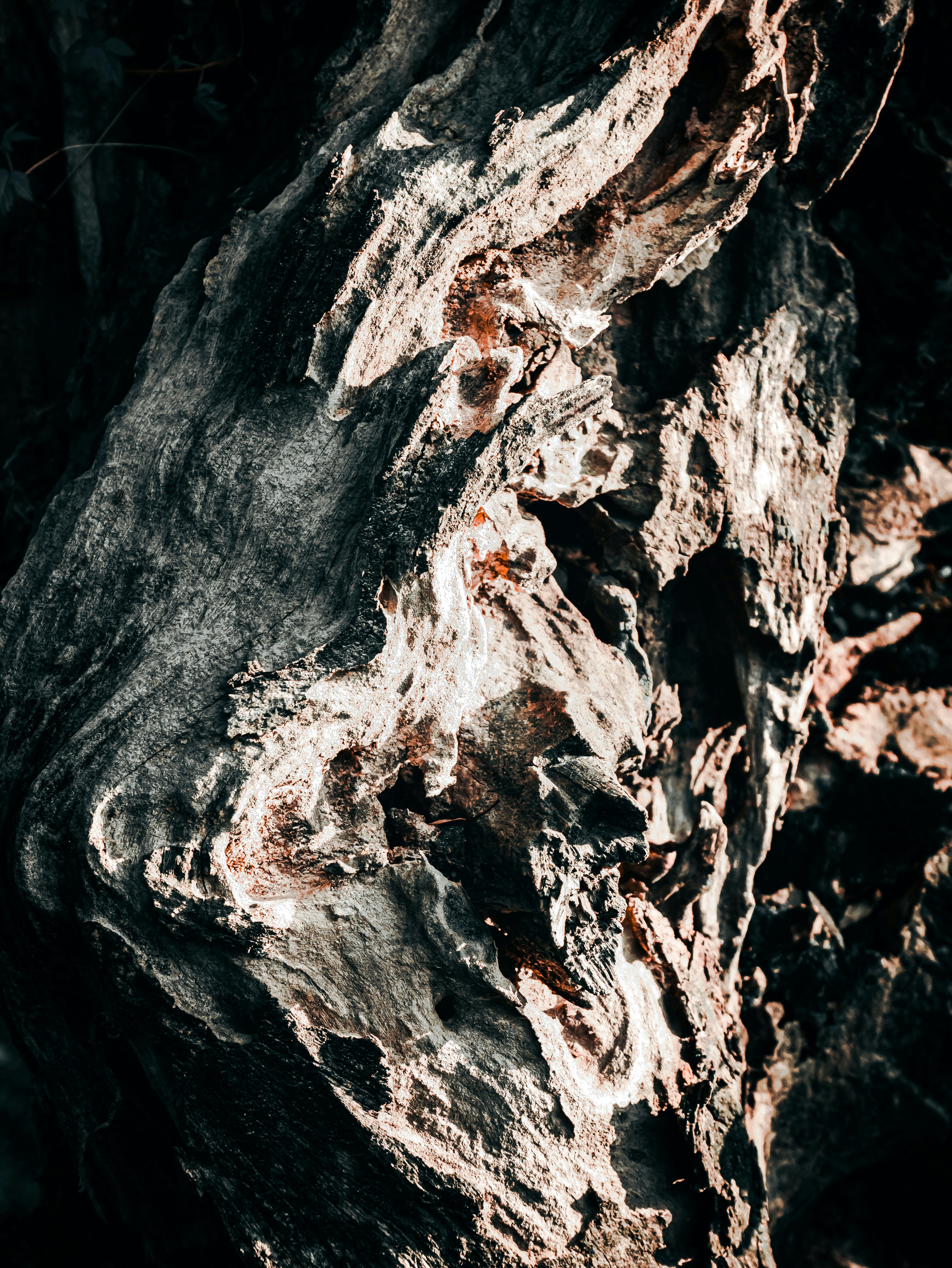 Photo by xiexianghua