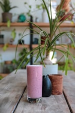 plante d'intérieure permettant d'avoir un meilleur air intérieur