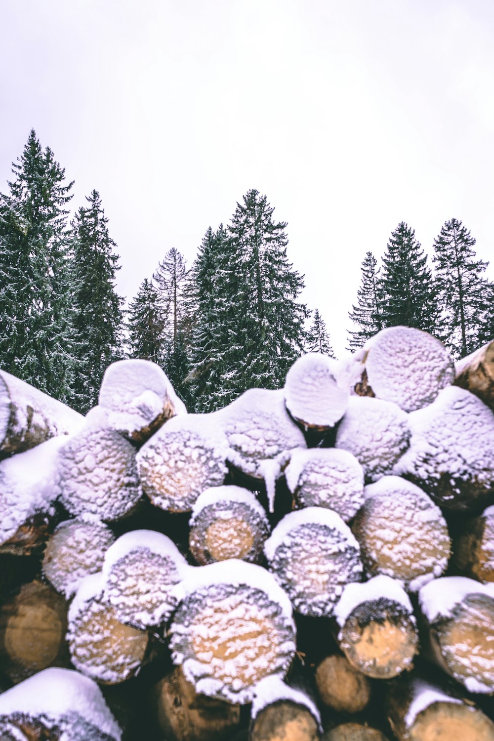 white and gray rocks on snow covered ground