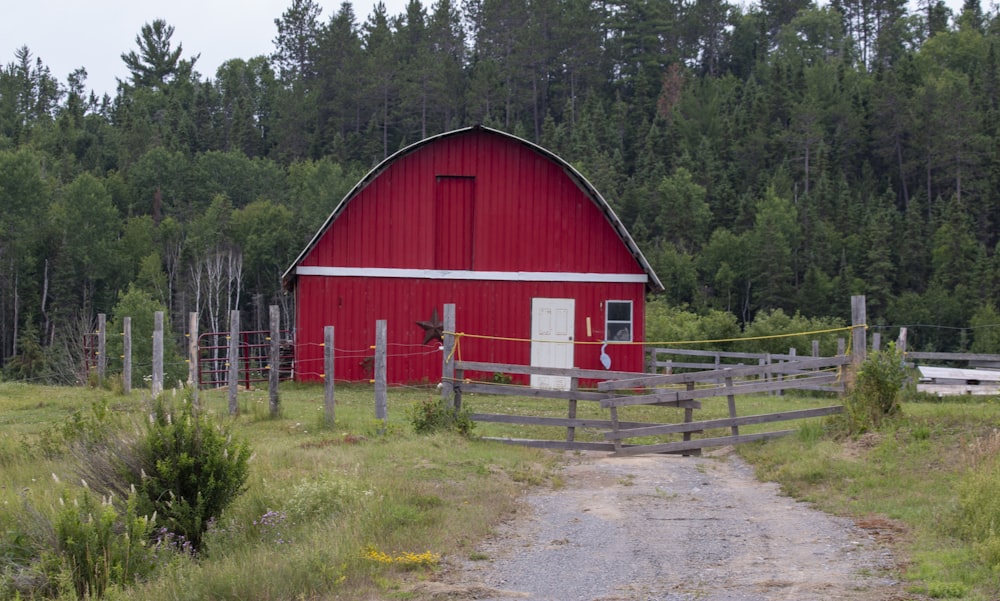 red and white barn house near green trees during daytime