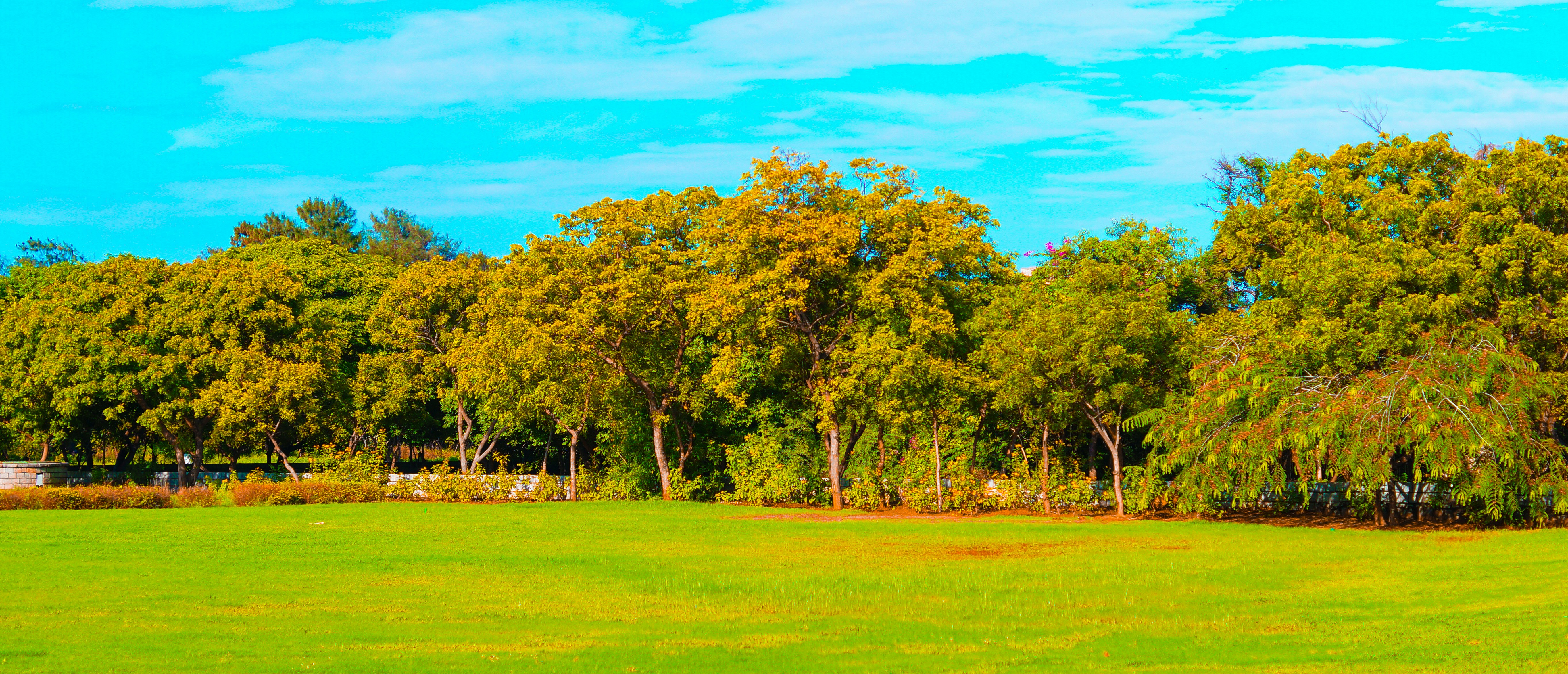 Photo by kingsleyjeb