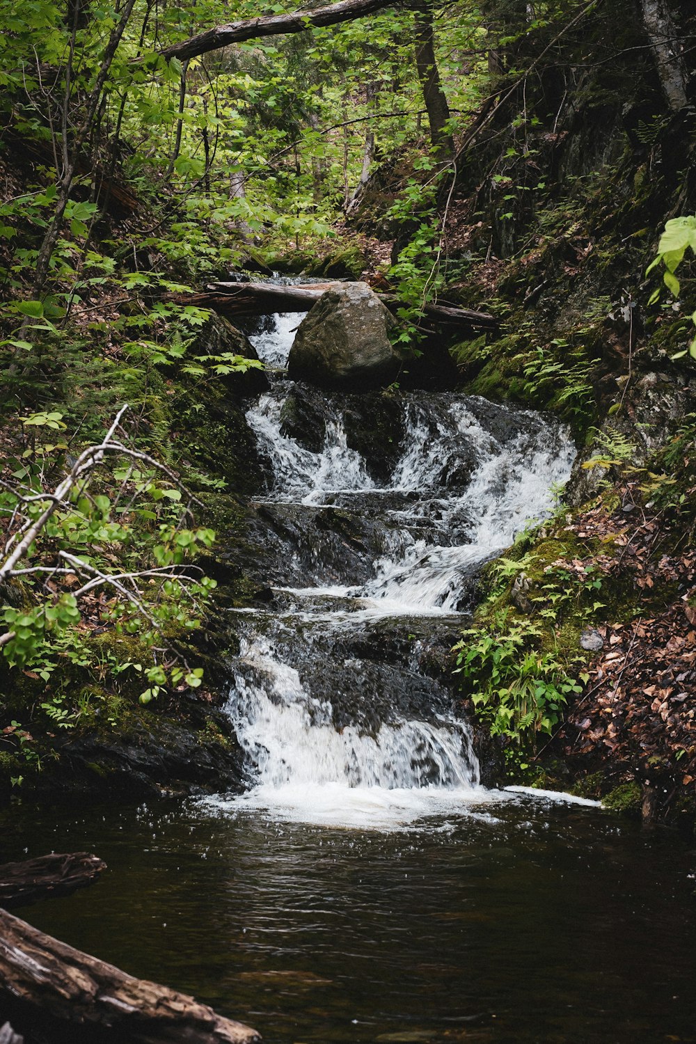 water falls in the middle of green and brown trees