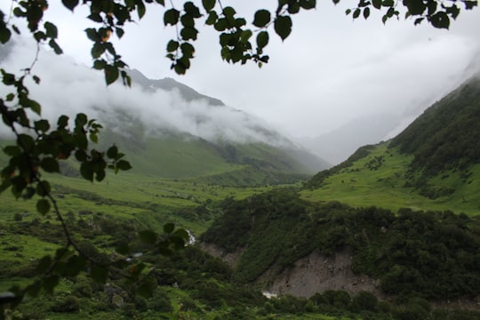 green mountains under white clouds during daytime in Valley of flowers India