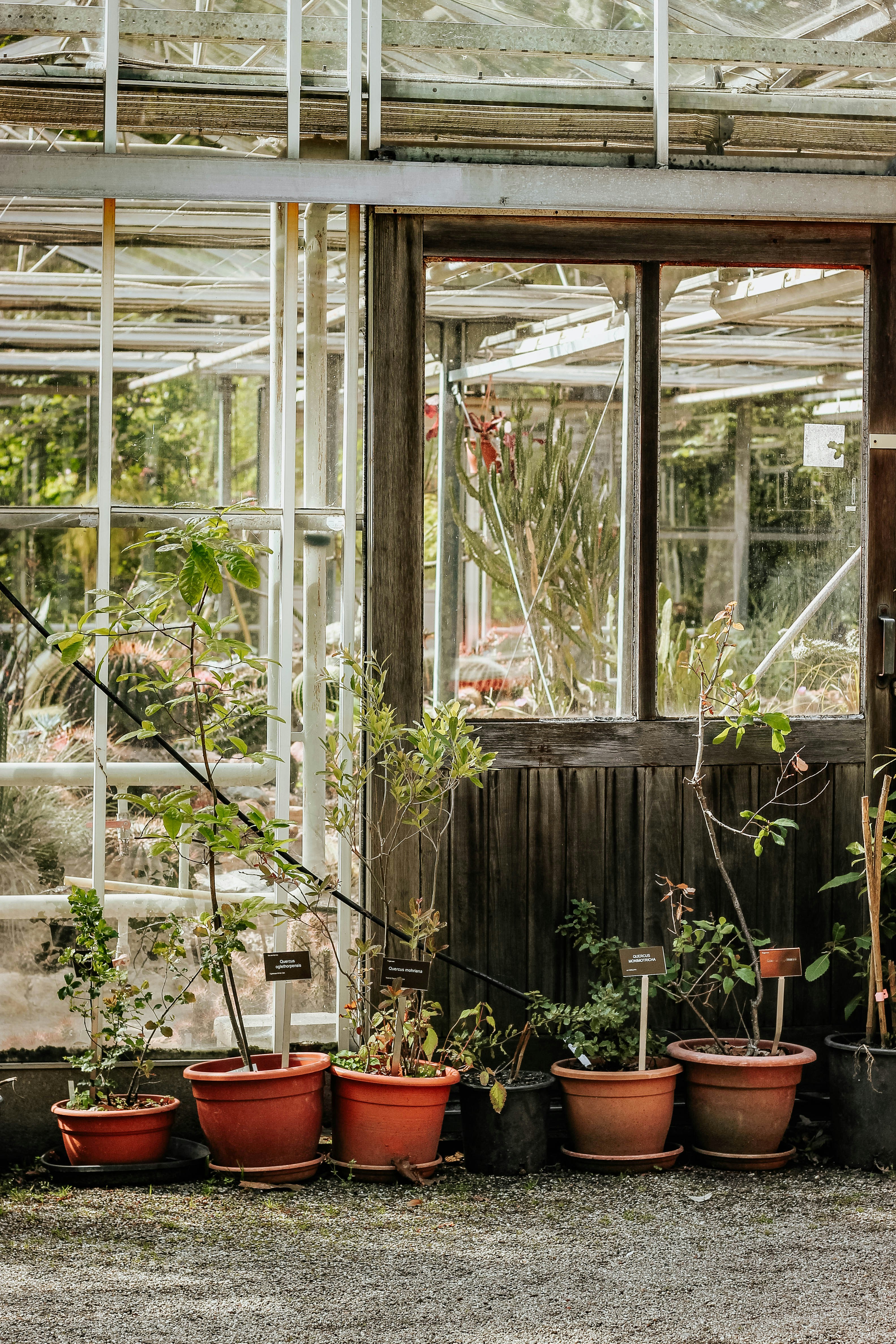 Trompenburg, Arboretum Rotterdam