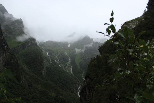 green mountains covered with fog in Valley of flowers India