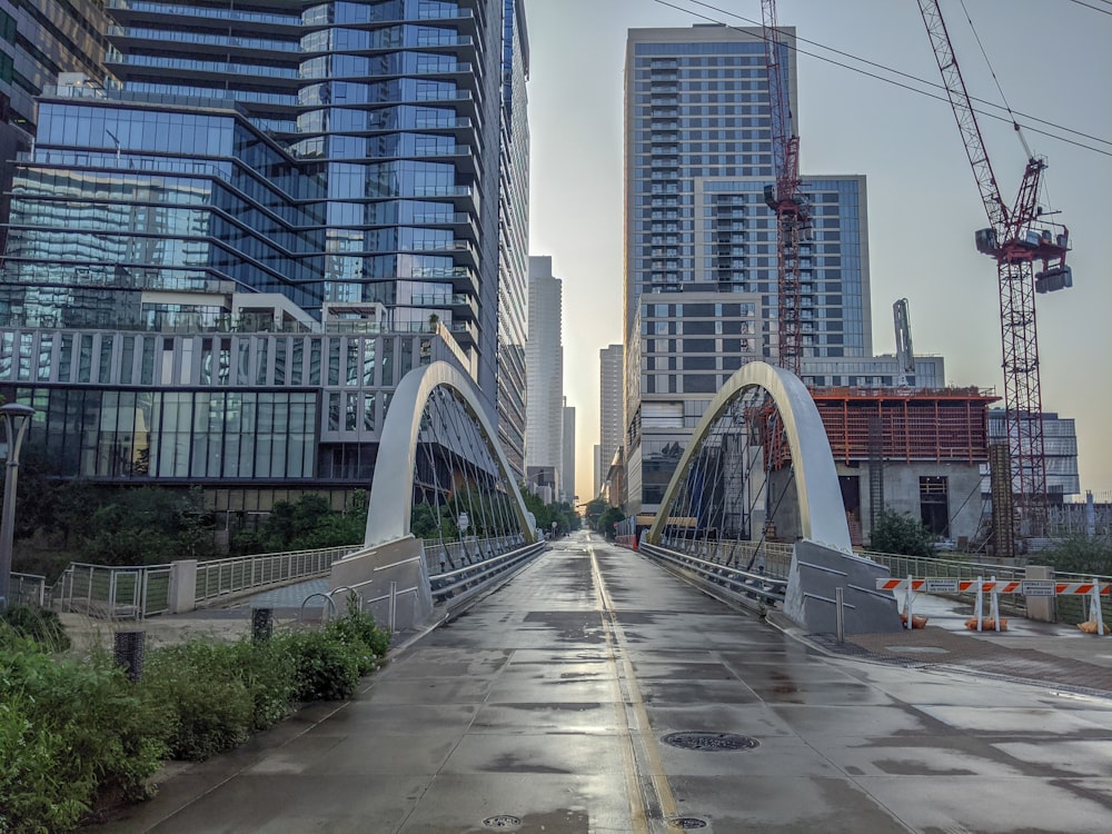 white and gray bridge near city buildings during daytime