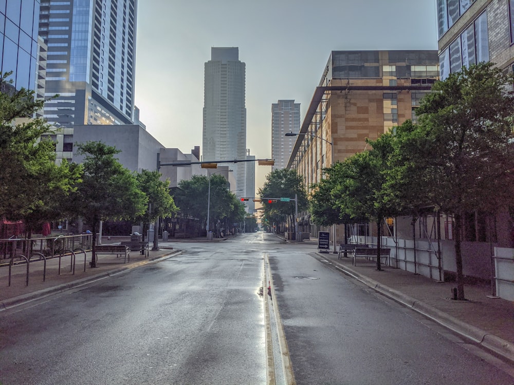 gray concrete road between green trees and high rise buildings during daytime
