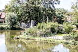 A serene park scene where community events are held.