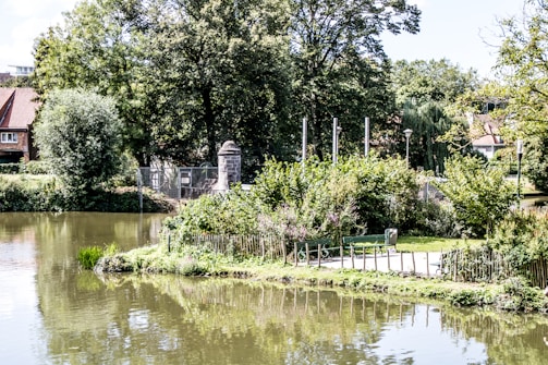 A serene park scene where community events are held.